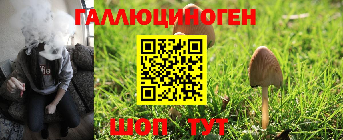 Галлюциногенные грибы Magic Shrooms Фрязино