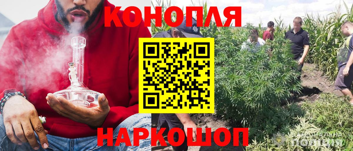 Каннабис конопля Фрязино